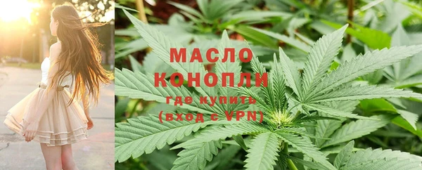 гидра Киреевск