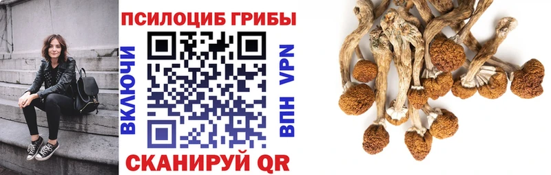 Галлюциногенные грибы Magic Shrooms Новая Усмань